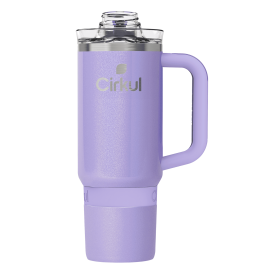 Travel Wall Insulated Stainless Steel Tumbler with Handle